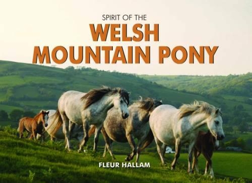 Бумажная книга «Spirit of the Welsh Mountain Pony», автор Флер Халлам - фото №1