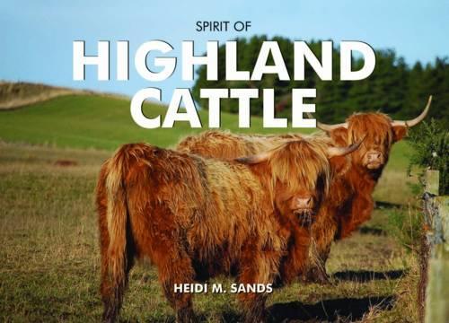 Бумажная книга «Spirit of Highland Cattle», автор Хейди М. Сэндс - фото №1