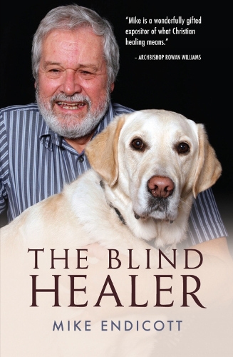 Паперова книга «The Blind Healer», автор Майк Ендікотт - фото №1