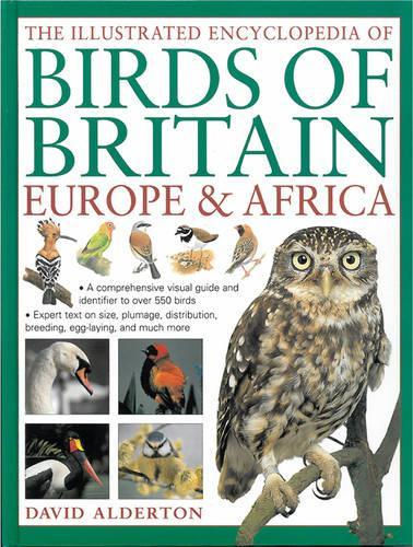 Паперова книга «The Illustrated Encyclopedia of Birds of Britain Europe & Africa: A Comprehensive Visual Guide and Identifier to Over 550 Birds», автор Девід Олдертон - фото №1