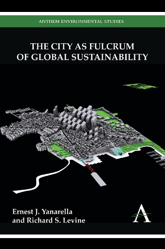 Бумажная книга «The City as Fulcrum of Global Sustainability», авторов Эрнест Дж. Янарелла, Ричард С. Левин - фото №1