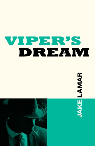 Бумажная книга «Viper's Dream», автор Джейк Ламар - фото №1