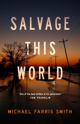 Бумажная книга «Salvage This World», автор Майкл Фаррис Смит - фото №1