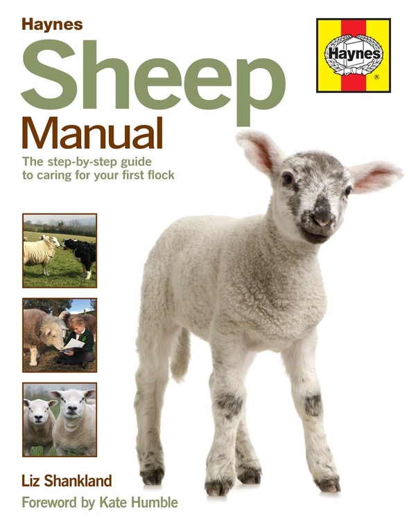Паперова книга «Sheep Manual: The complete step-by-step guide to caring for your flock», автор Ліз Шенкленд - фото №1