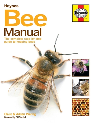 Бумажная книга «Bee Manual: The complete step-by-step guide to keeping bees», автор Клэр Уоринг - фото №1
