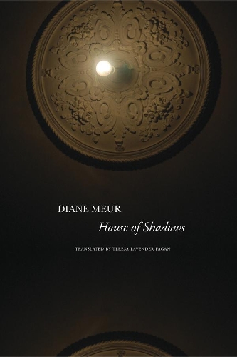 Бумажная книга «House of Shadows», автор Диана Мёр - фото №1