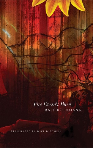 Бумажная книга «Fire Doesn't Burn», автор Ральф Ротманн - фото №1