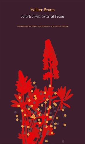 Бумажная книга «Rubble Flora: Selected Poems», автор Волкер Браун - фото №1