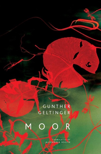 Бумажная книга «Moor», автор Гюнтер Гельтингер - фото №1