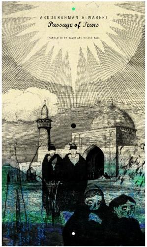 Бумажная книга «Passage of Tears», автор Абдурахман А. Вабери - фото №1