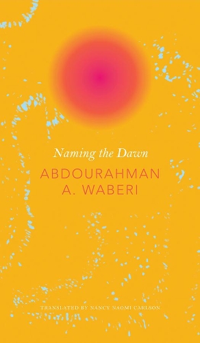 Бумажная книга «Naming the Dawn», автор Абдурахман А. Вабери - фото №1