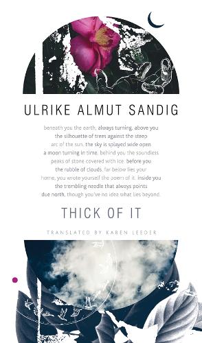 Бумажная книга «Thick of It», автор Ульрике Альмут Сандиг - фото №1