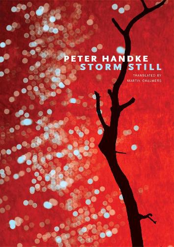 Паперова книга «Storm Still», автор Петер Хандке - фото №1