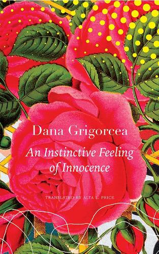 Бумажная книга «An Instinctive Feeling of Innocence», автор Дана Григорцеа - фото №1