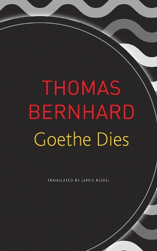 Паперова книга «Goethe Dies» - фото №1