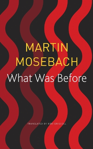 Бумажная книга «What Was Before», автор Мартин Мозебах - фото №1