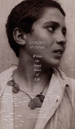 Паперова книга «Within the Sweet Noise of Life: Selected Poems», автор Сандро Пенна - фото №1