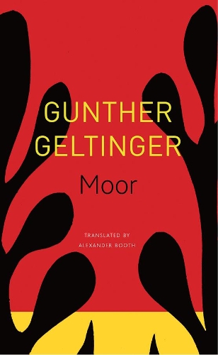 Бумажная книга «Moor», автор Гюнтер Гельтингер - фото №1