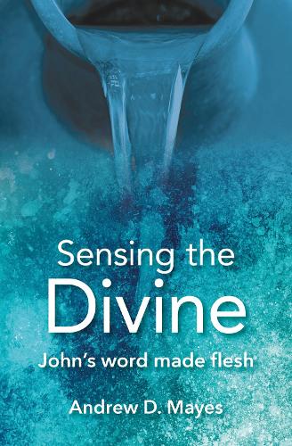 Бумажная книга «Sensing the Divine: John's word made flesh», автор Эндрю Д. Майес - фото №1