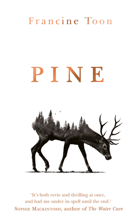 Бумажная книга «Pine», автор Франсин Тун - фото №1