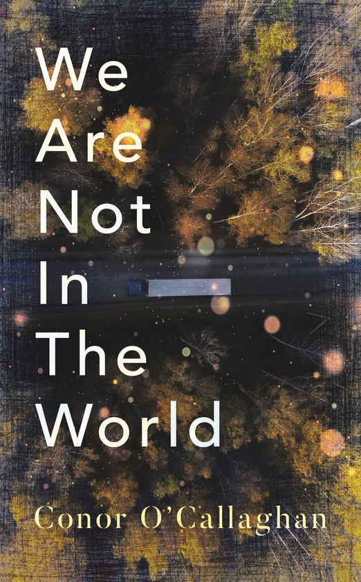 Бумажная книга «We Are Not in the World», автор Конор О'Каллаген - фото №1