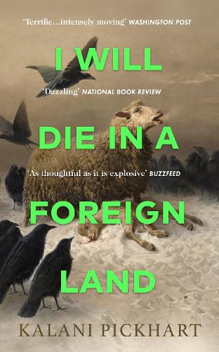 Бумажная книга «I Will Die in a Foreign Land», автор Калани Пикхарт - фото №1
