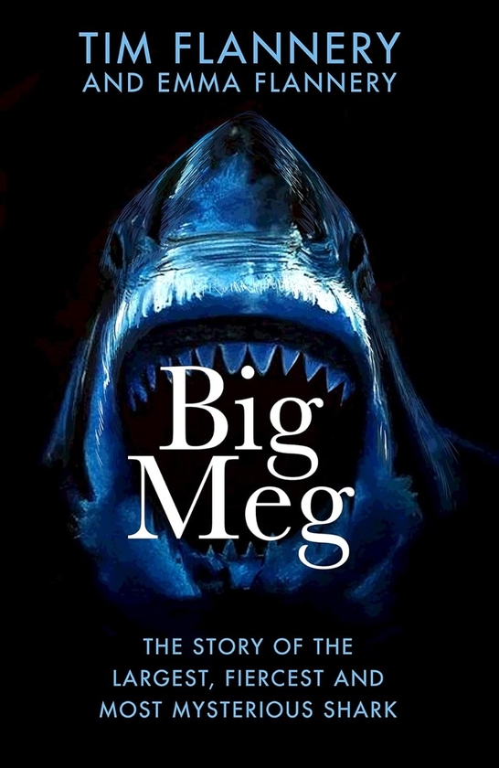 Паперова книга «Big Meg: The Story of the Largest, Fiercest and Most Mysterious Shark», авторів Тім Фланнері, Емма Фланнері - фото №1