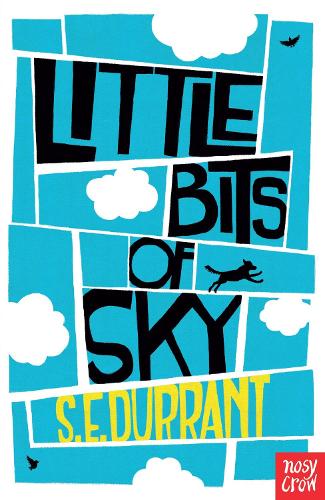 Бумажная книга «Little Bits of Sky», автор С. Э. Дюррант - фото №1