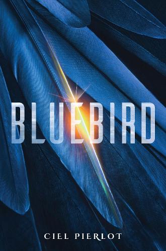 Бумажная книга «Bluebird», автор Сиель Пьерло - фото №1