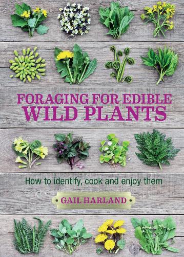 Бумажная книга «Foraging for Edible Wild Plants: How to identify, cook and enjoy them», автор Гейл Харланд - фото №1