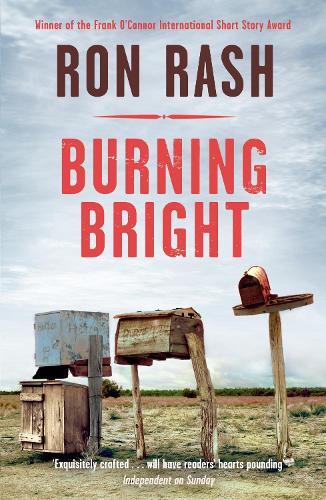 Бумажная книга «Burning Bright», автор Рон Раш - фото №1