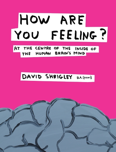 Бумажная книга «How Are You Feeling?: At the Centre of the Inside of The Human Brain’s Mind», автор Дэвид Шригли - фото №1