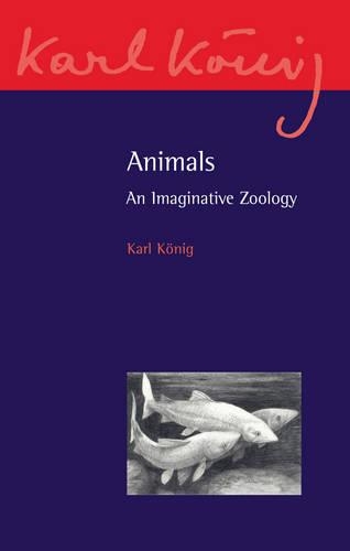 Бумажная книга «Animals: An Imaginative Zoology», автор Карл Кениг - фото №1