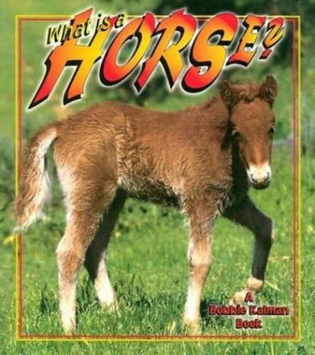 Бумажная книга «What Is A Horse?», автор Бобби Калман - фото №1
