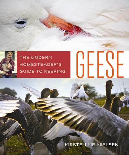 Бумажная книга «The Modern Homesteader's Guide to Keeping Geese», автор Кирстен Ли-Нильсен - фото №1