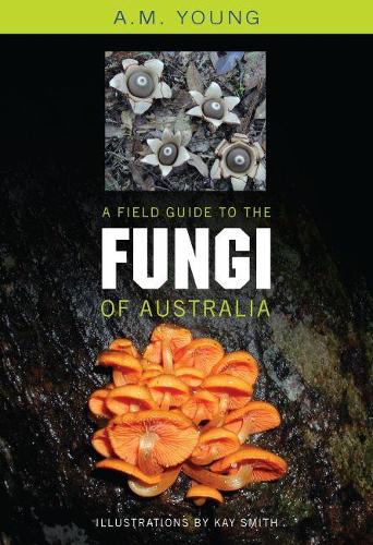 Бумажная книга «A Field Guide to the Fungi of Australia», автор Тони Янг - фото №1