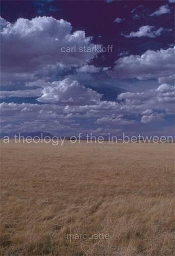 Бумажная книга «A  Theology of the In-Between: The Value of Syncretic Process», автор Карл Ф. Старклофф - фото №1