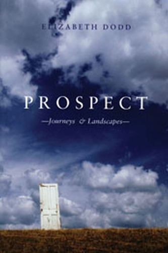 Бумажная книга «Prospect», автор Элизабет Додд - фото №1