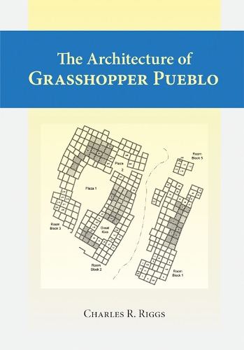 Бумажная книга «Architecture Of Grasshopper Pueblo, The», автор Чарльз Риггс - фото №1