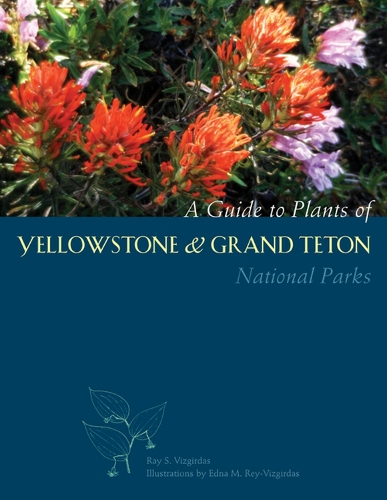 Бумажная книга «A Guide to Plants of Yellowstone and Grand Teton National Parks», автор Рэй Визгирдас - фото №1