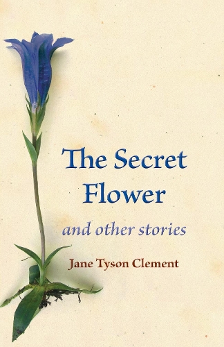 Бумажная книга «The Secret Flower: and other stories», автор Джейн Тайсон Клемент - фото №1