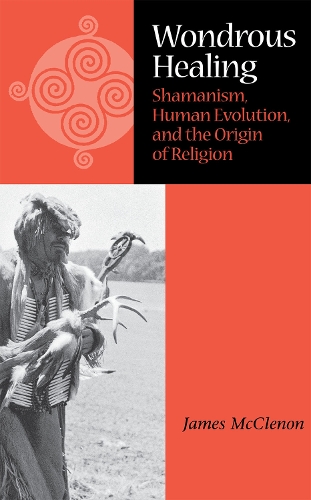 Бумажная книга «Wondrous Healing: Shamanism, Human Evolution, and the Origin of Religion», автор Джеймс Маккленон - фото №1