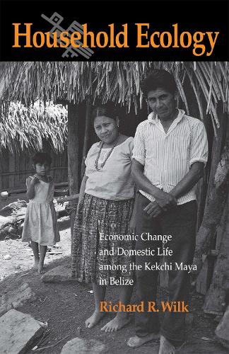 Бумажная книга «Household Ecology: Economic Change and Domestic Life among the Kekchi Maya in Belize», автор Ричард Уилк - фото №1