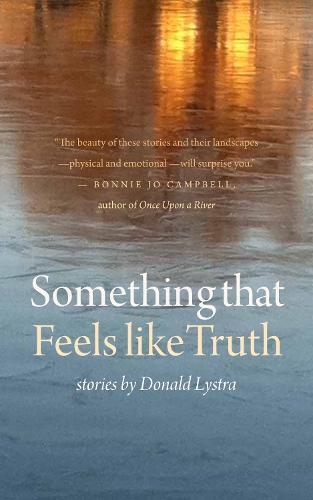 Паперова книга «Something That Feels Like Truth», автор Дональд Лістра - фото №1