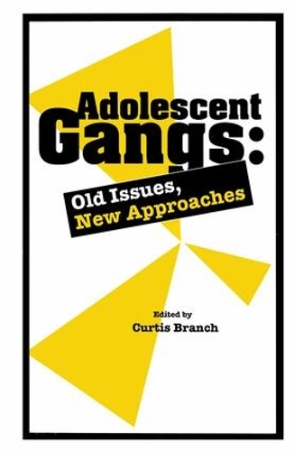 Бумажная книга «Adolescent Gangs: Old Issues, New Approaches» - фото №1