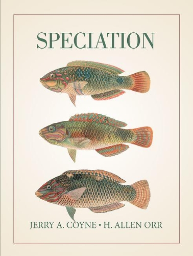 [object Object] «Speciation», авторов Х. Аллен Орр, Джерри А. Койн - фото №1