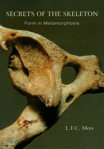 Бумажная книга «Secrets of the Skeleton: Form in Metamorphosis», автор Л. Ф. К. Мис - фото №1