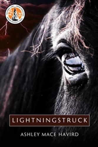 Бумажная книга «Lightningstruck: A Novel», автор Эшли Мейс Хэвирд - фото №1