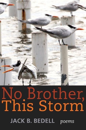 Паперова книга «No Brother, This Storm: Poems», автор Джек Б. Беделл - фото №1