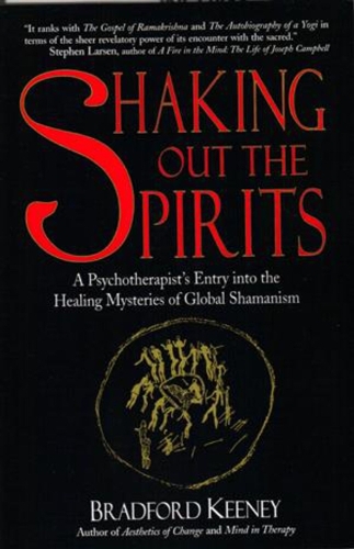 Бумажная книга «Shaking Out the Spirits», автор Брэдфорд Кини - фото №1